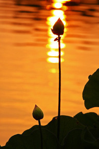 挪威客场大胜日本，晋级形势喜人