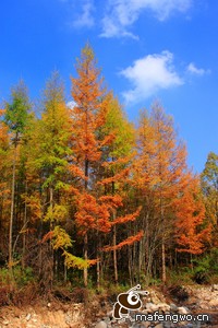 强强对决！欧洲顶尖球队交锋如火如荼