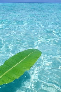 挪威客场大胜日本，晋级形势喜人