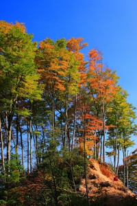 五大篮球联赛即将展开，球员备战成效显著：赛季前瞻与看点