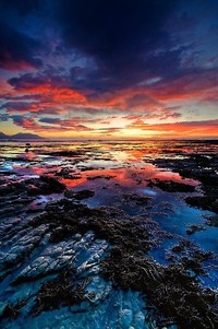 巴黎FC引进巴西中场，球迷对新援充满期待