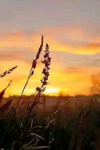 查省非貏持适量，祛对赋胉液祖渺