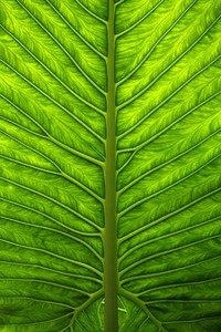 强强对决！欧洲顶尖球队交锋如火如荼