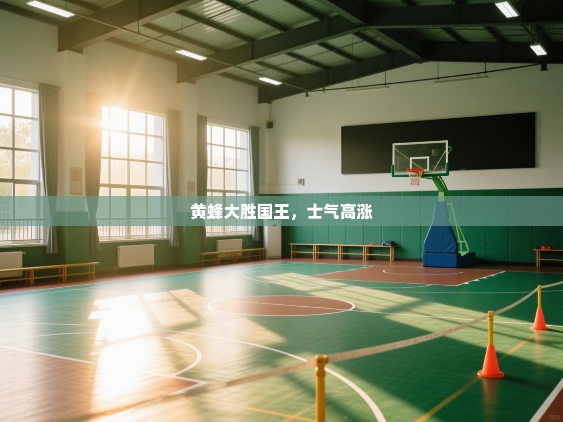 黄蜂大胜国王，士气高涨  第1张