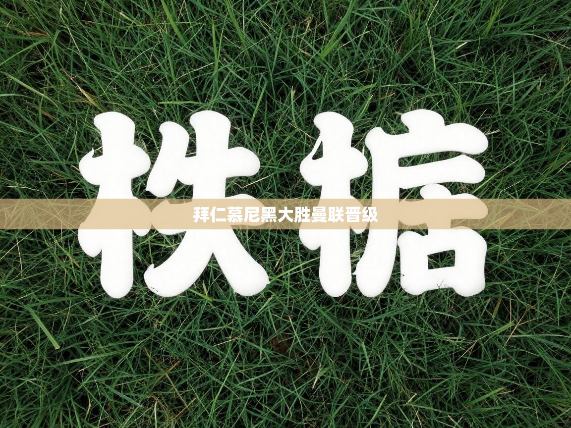 拜仁慕尼黑大胜曼联晋级  第1张