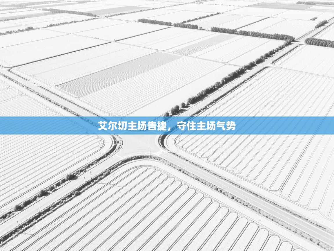 艾尔切主场告捷,守住主场气势 第1张