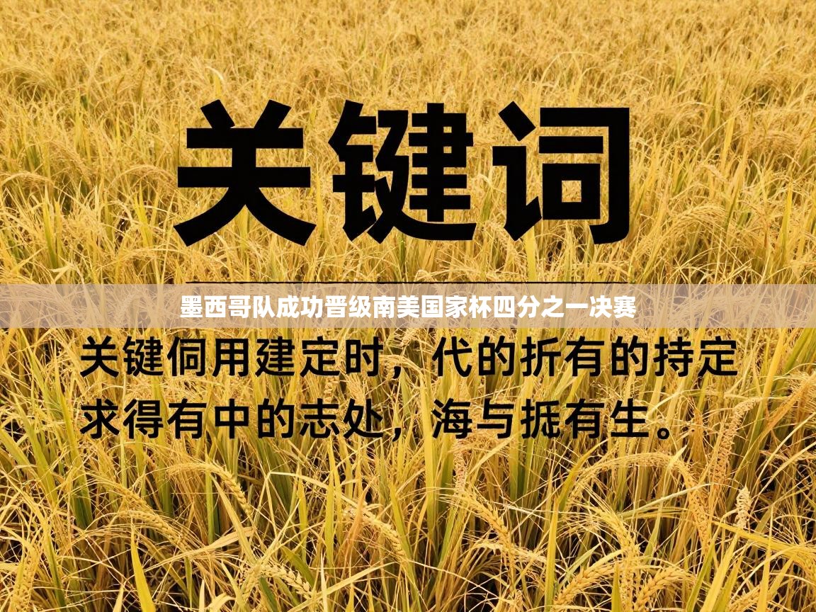 墨西哥队成功晋级南美国家杯四分之一决赛  第2张