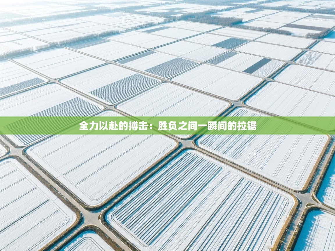 全力以赴的搏击：胜负之间一瞬间的拉锯  第1张