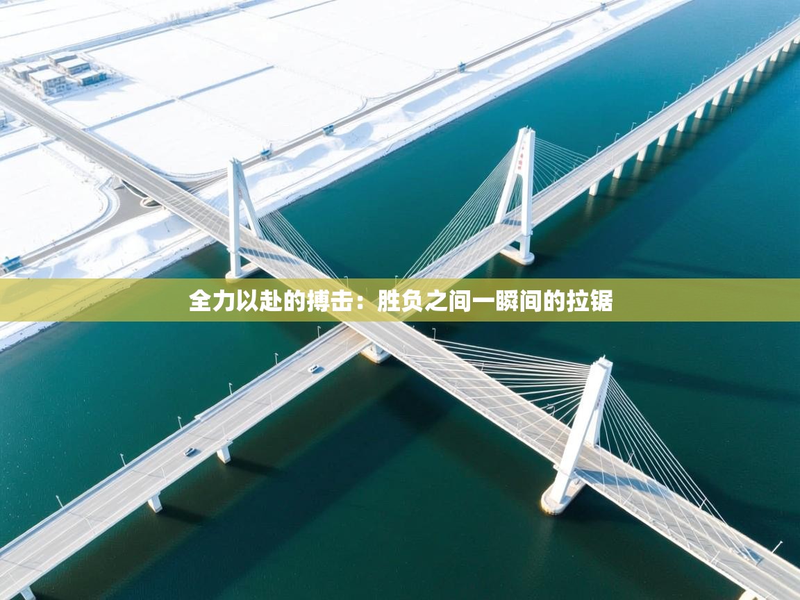 全力以赴的搏击：胜负之间一瞬间的拉锯  第2张